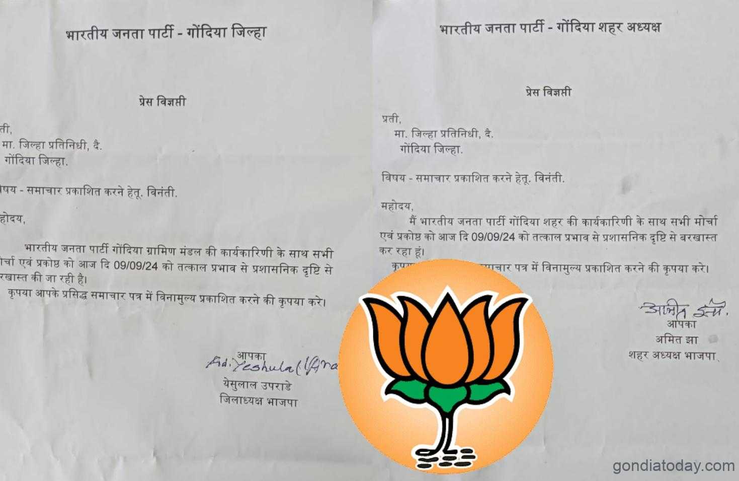 भैय्या यांनी भाजप सोडताच भाजपने गोंदिया शहर आणि ग्रामीण