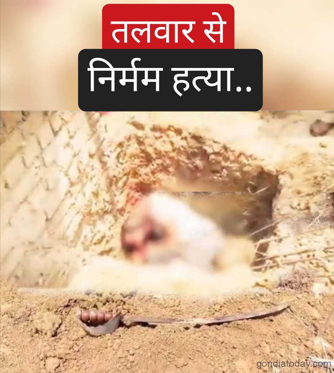 दिली तलवारीने महेंद्र मदारकरची क्रूर हत्या 4 संशयित कोठडी